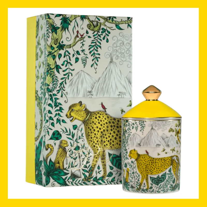Emma J Shipley Geurkaars - CHEETAH