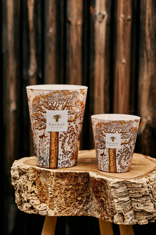 BAOBAB_SS2024-308_550x_9617d62a-ad61-4265-969c-65a5ca694dc1.webp