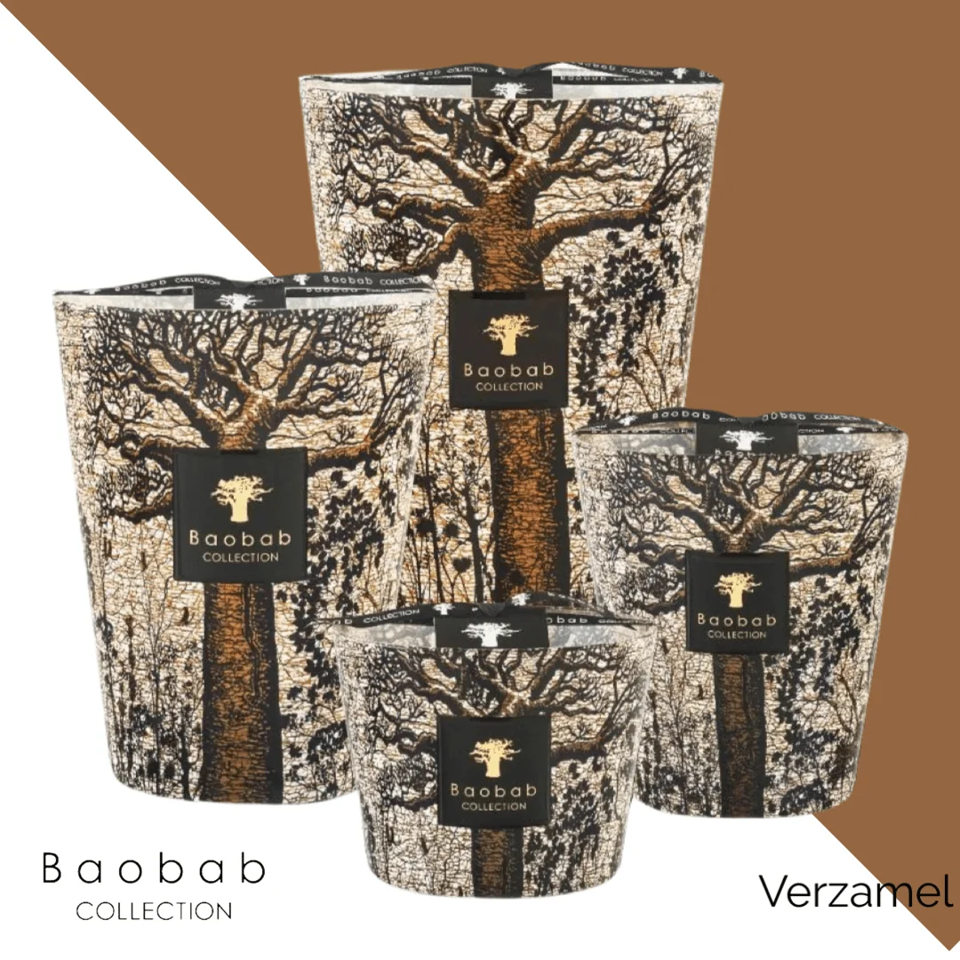 Baobab Geurkaars Sacred Trees Morondo