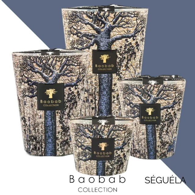 Baobab Geurkaars Sacred Trees Seguela