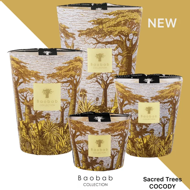 Baobab Geurkaars Sacred Trees Cocody