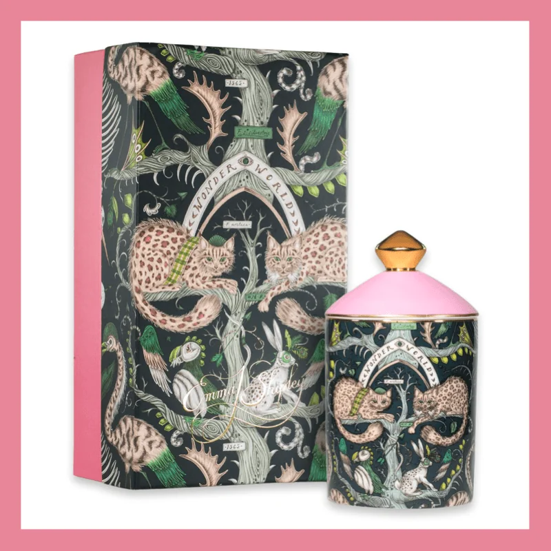 Emma J Shipley Geurkaars – WONDER WORLD